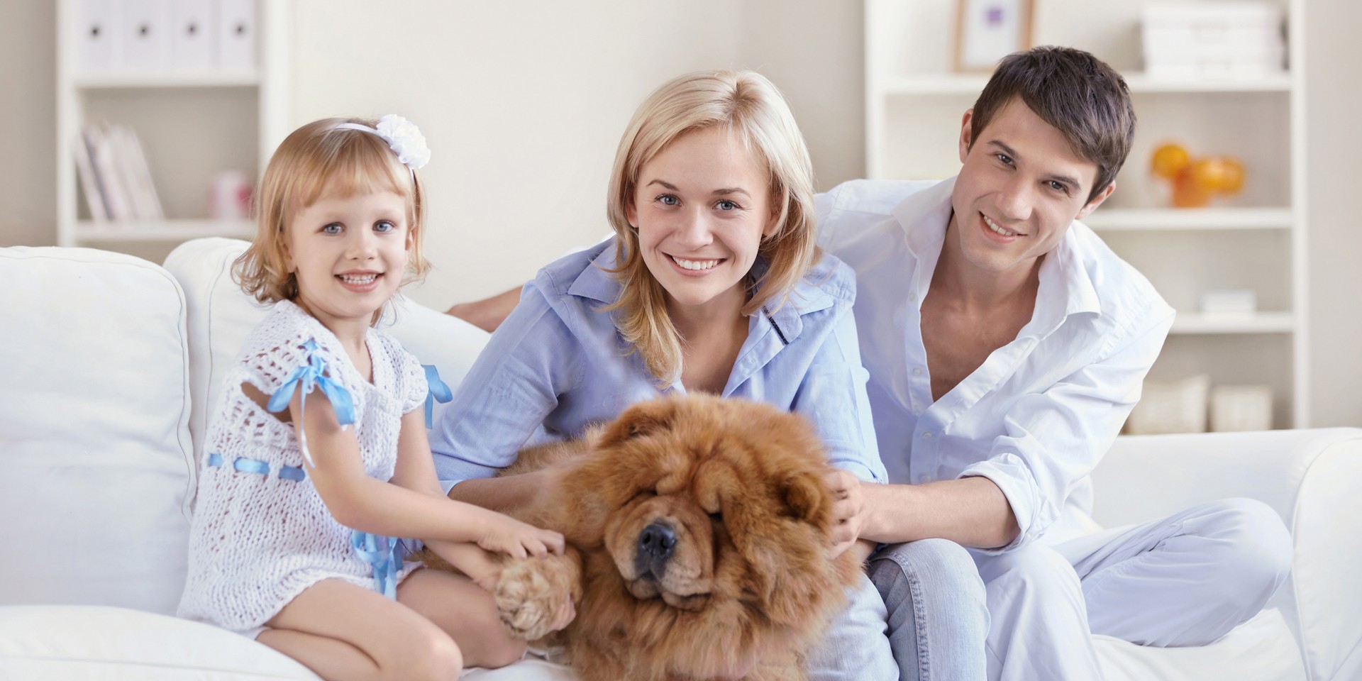 BEAM Lifestyle - Dog with Family.jpg