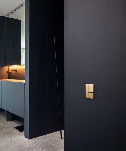 Basalte Fibonacci 2-button - brushed brass 2.jpg