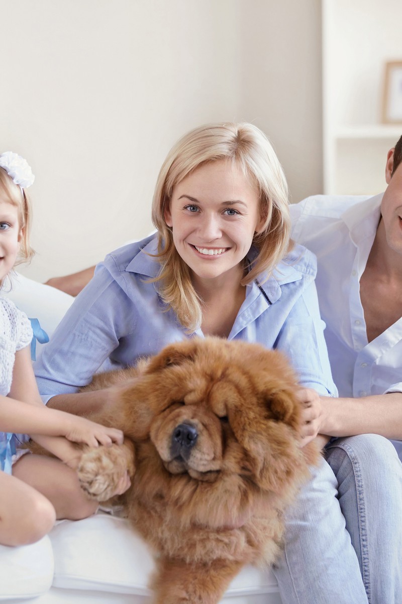 BEAM Lifestyle - Dog with Family.jpg